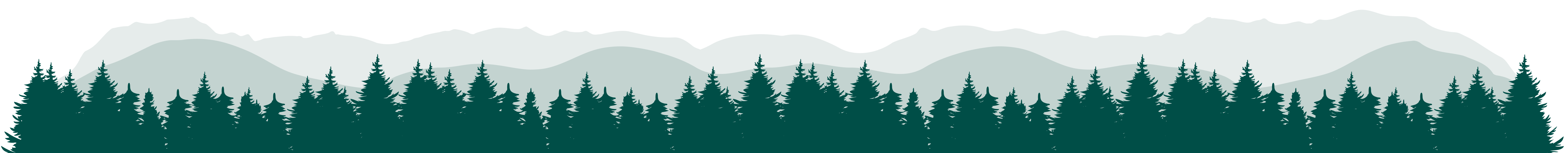 background forest