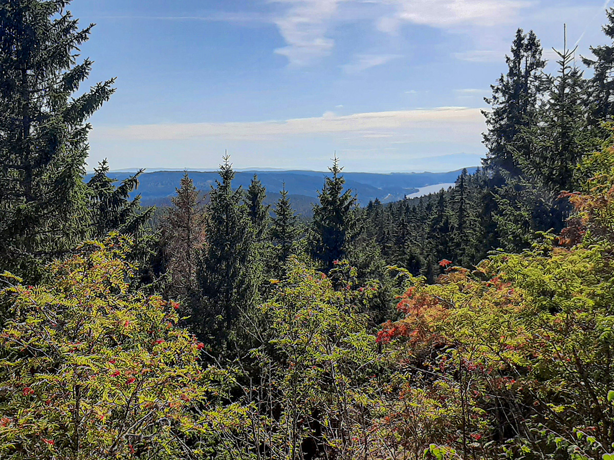 Der Blick Richtung Süden auf den Schluchsee