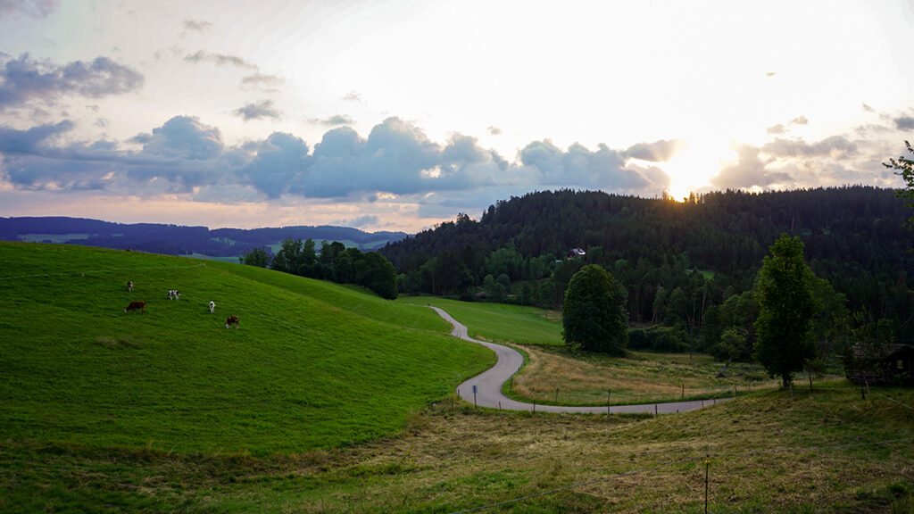 DSC04608_kor_1200x675px