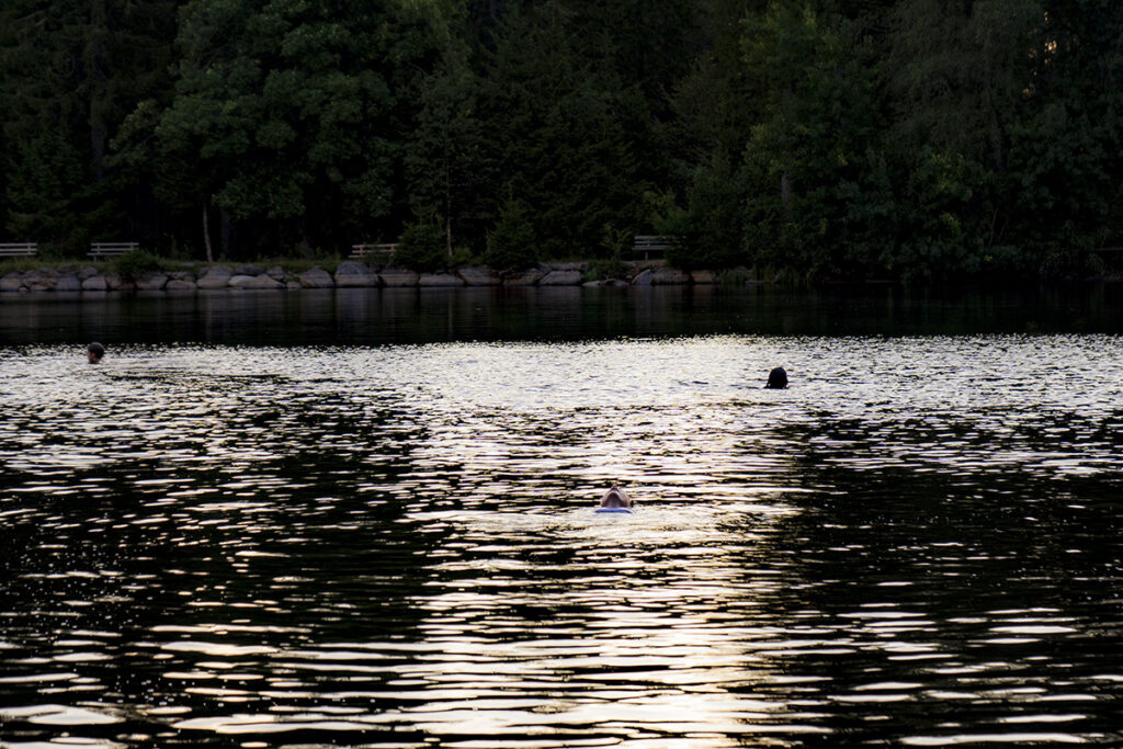 DSC04711_kor_3-2_HP