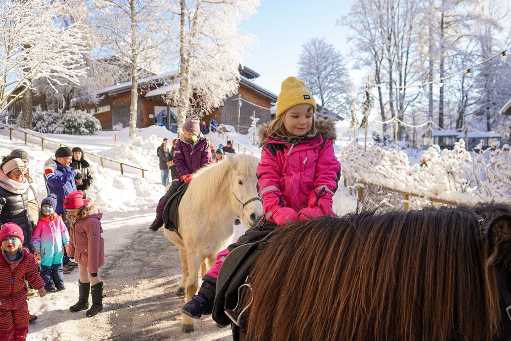 Über Ponyreiten, ...