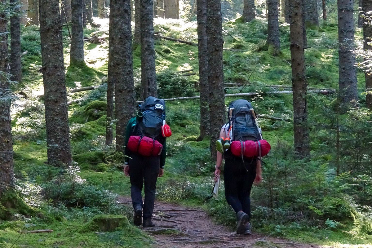 Raus aus der Komfortzone – rein in die Natur