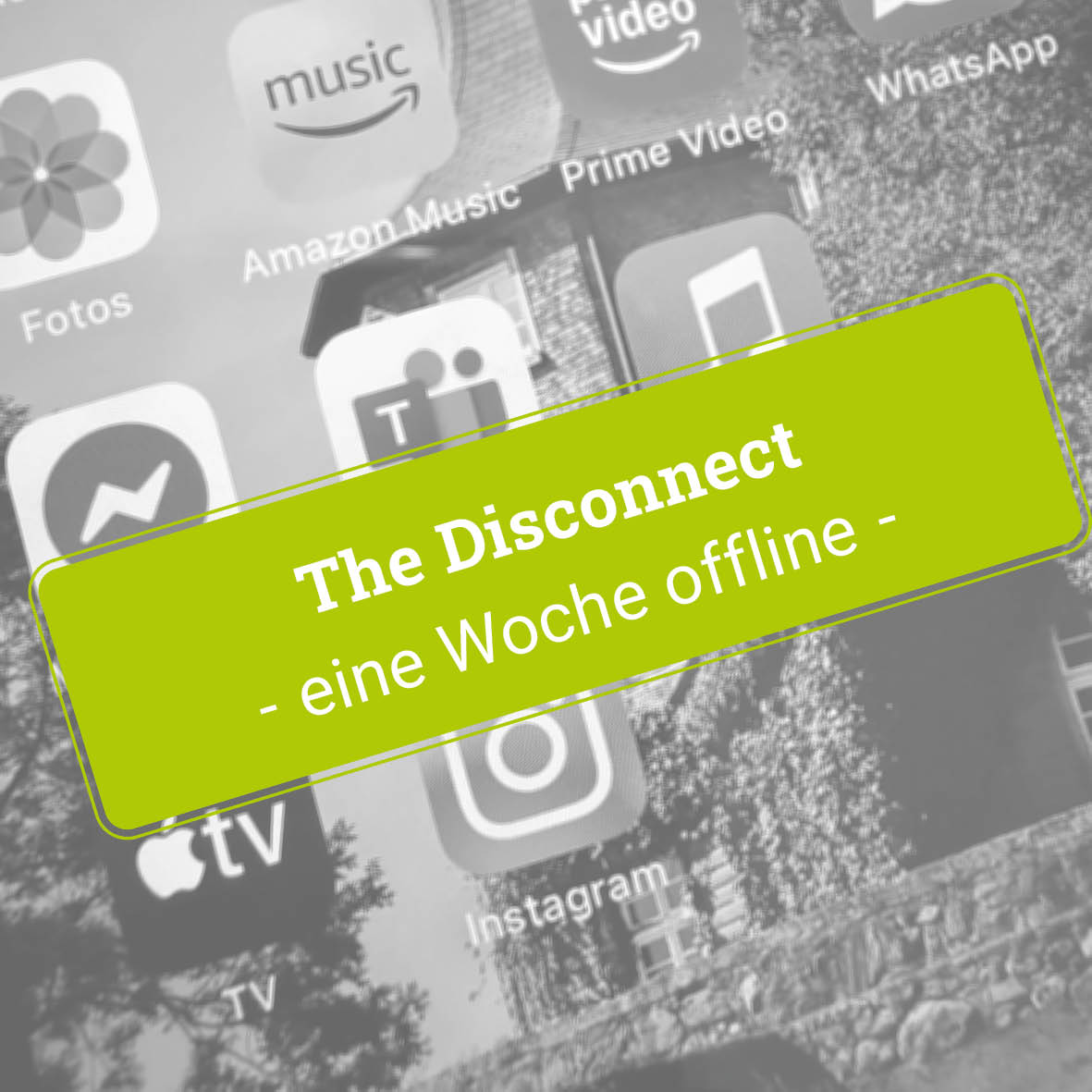 The Disconnect – Unsere Klasse 9a war für eine Woche offline