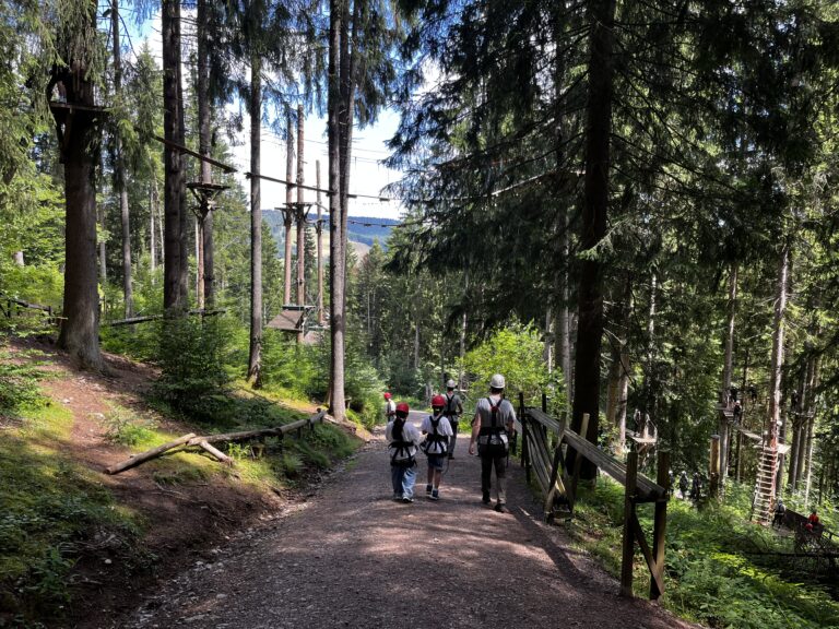 Ausflug in den Klettergarten