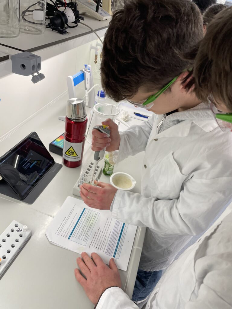 20260203_085021423_iOS