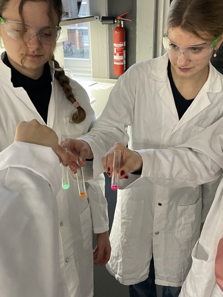 20260203_085658310_iOS(1)