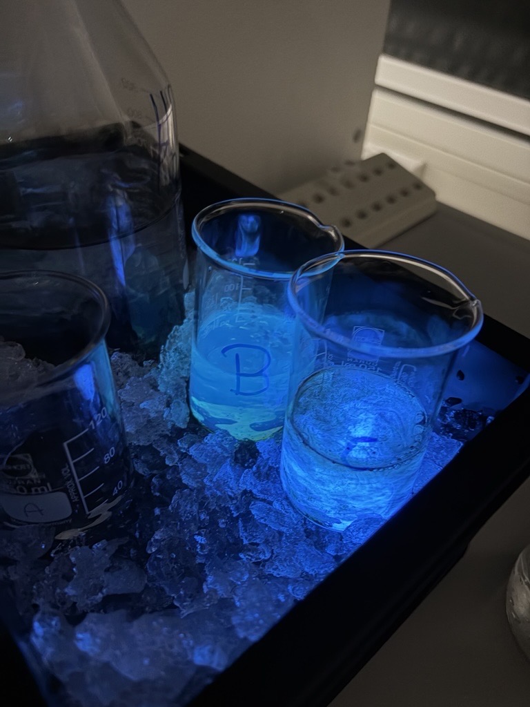 20260212_130515787_iOS