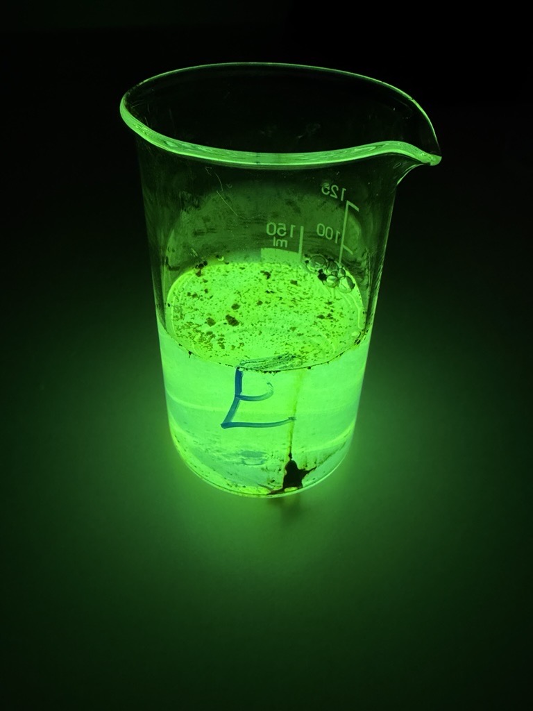 20260212_130521591_iOS(1)