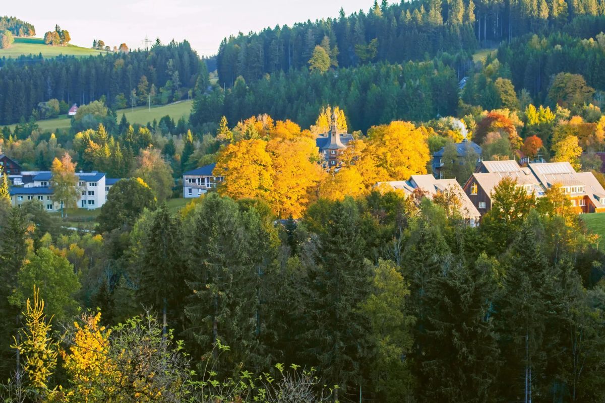 Internationales Internat Birklehof und Umgebung im Herbst