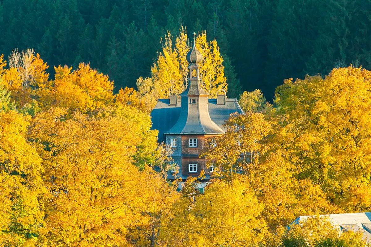 Birklehof zwischen Bäumen im Herbst zum Thema Internat Süddeutschland